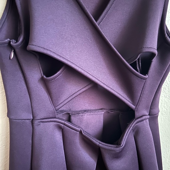 Express Dark Purple Dress - Picture 4 of 6